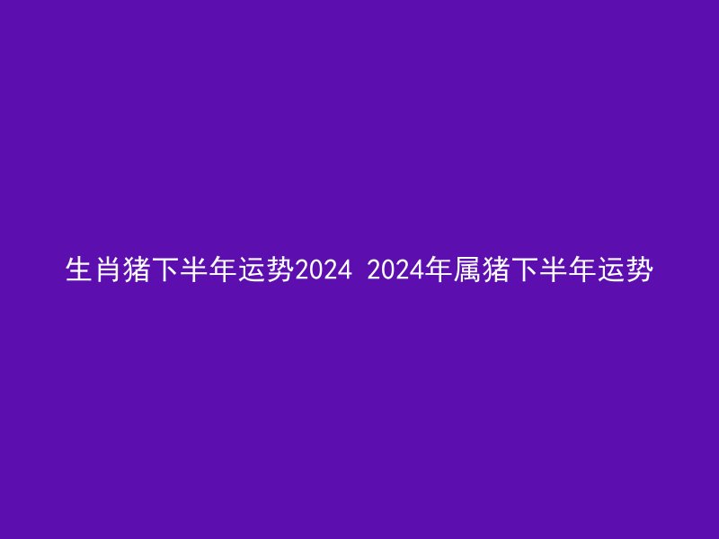 生肖猪下半年运势2024 2024年属猪下半年运势