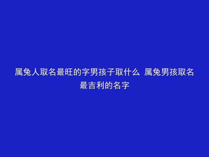 属兔人取名最旺的字男孩子取什么 属兔男孩取名最吉利的名字
