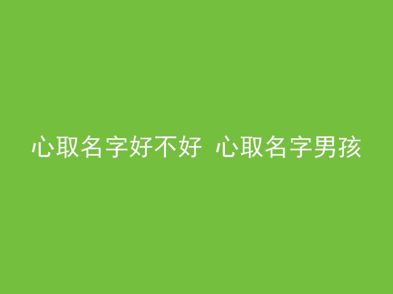 心取名字好不好 心取名字男孩