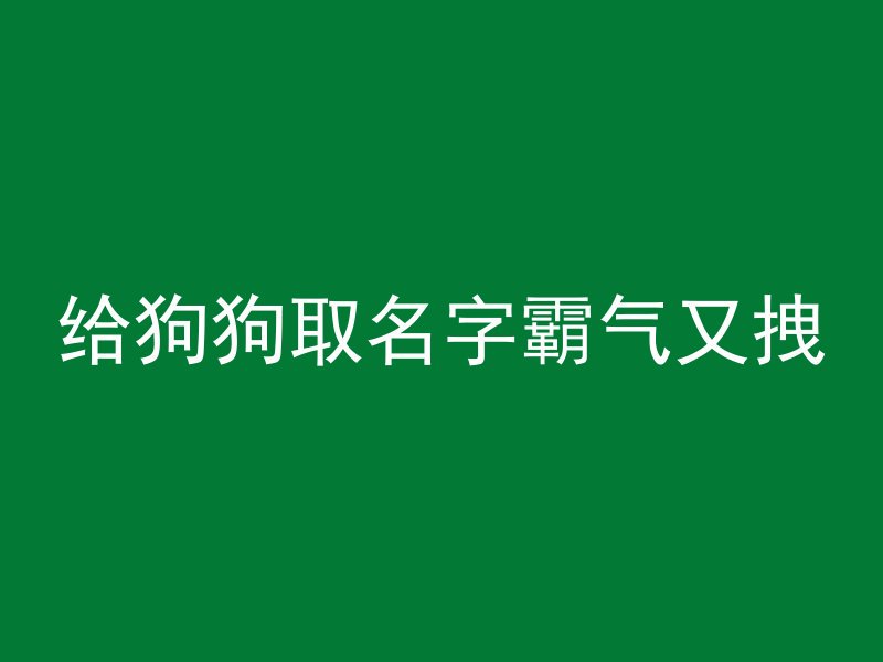 给狗狗取名字霸气又拽