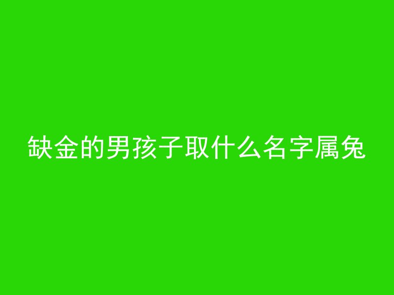 缺金的男孩子取什么名字属兔