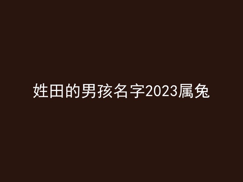 姓田的男孩名字2023属兔