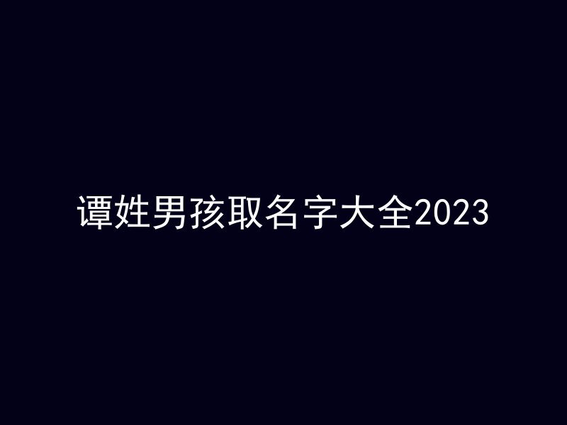 谭姓男孩取名字大全2023