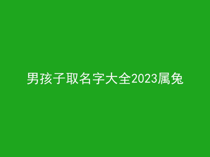 男孩子取名字大全2023属兔