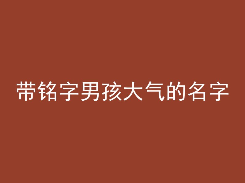 带铭字男孩大气的名字