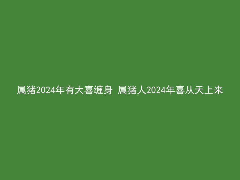 属猪2024年有大喜缠身 属猪人2024年喜从天上来