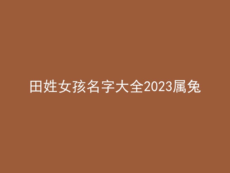 田姓女孩名字大全2023属兔