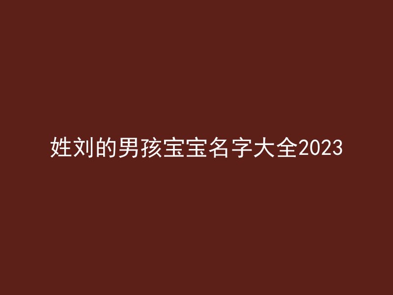 姓刘的男孩宝宝名字大全2023