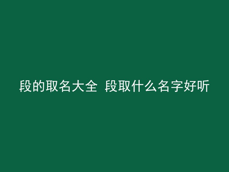 段的取名大全 段取什么名字好听