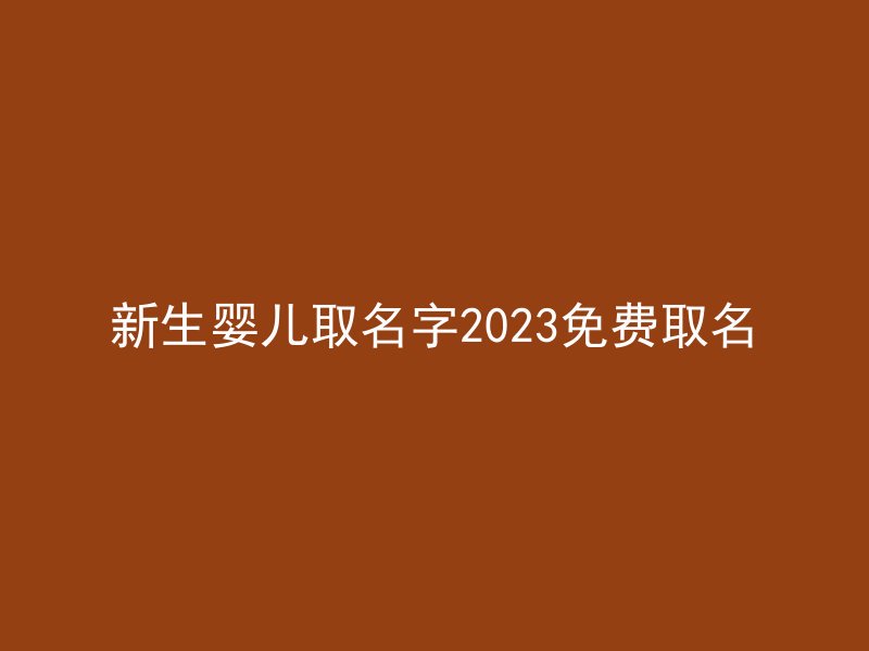 新生婴儿取名字2023免费取名