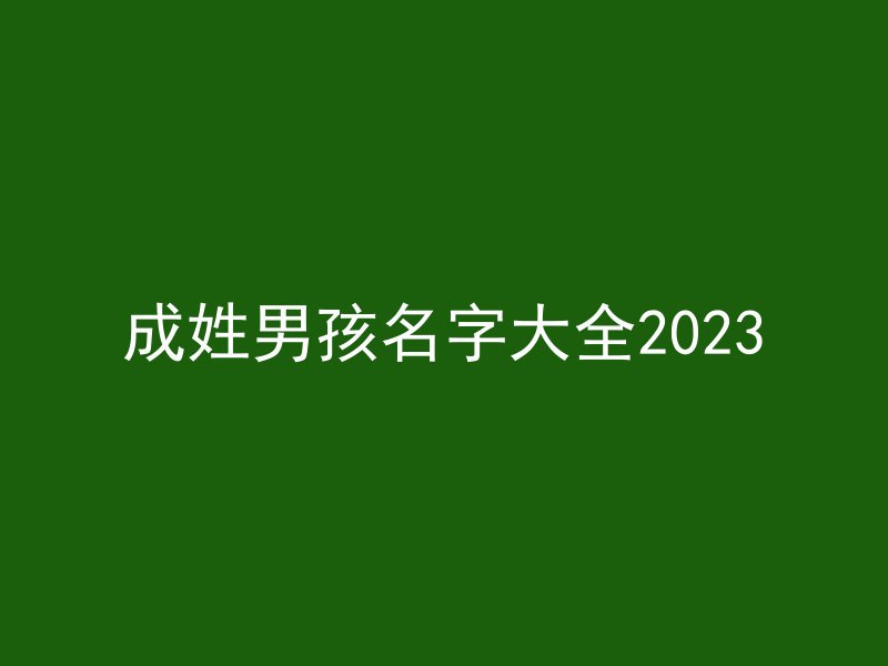 成姓男孩名字大全2023