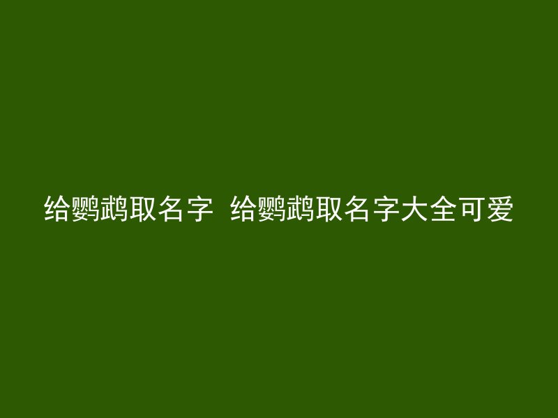 给鹦鹉取名字 给鹦鹉取名字大全可爱