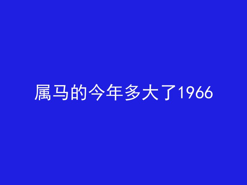 属马的今年多大了1966