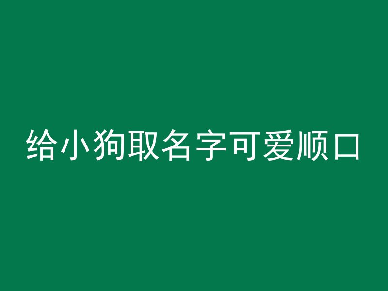 给小狗取名字可爱顺口