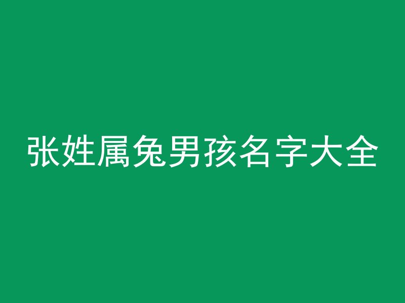 张姓属兔男孩名字大全