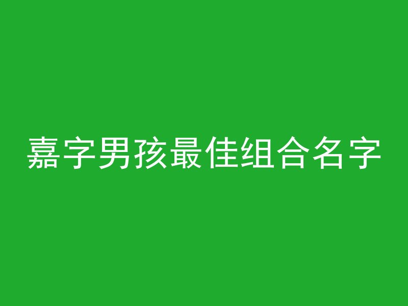 嘉字男孩最佳组合名字