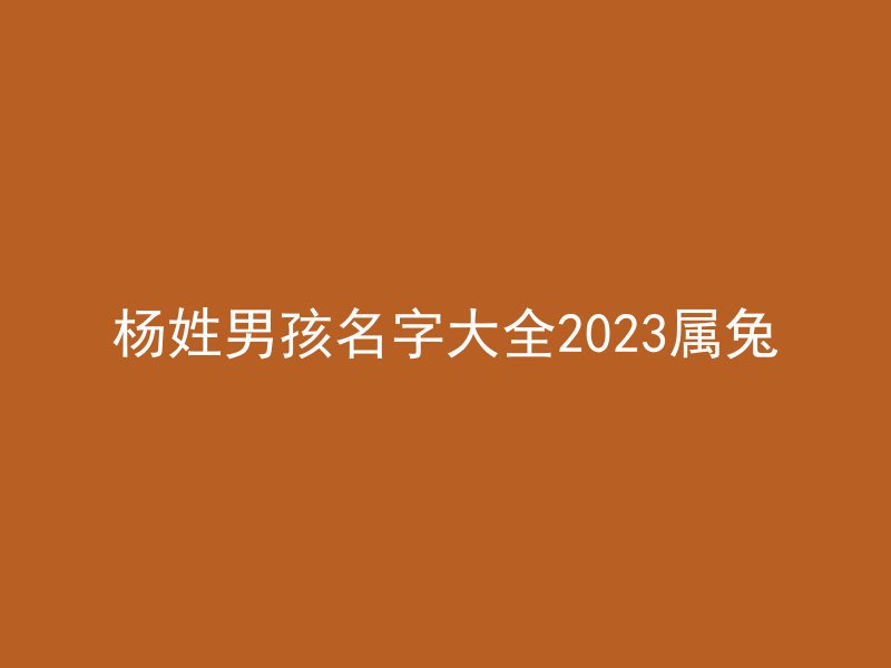 杨姓男孩名字大全2023属兔