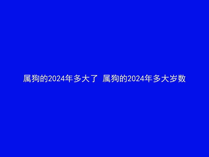 属狗的2024年多大了 属狗的2024年多大岁数