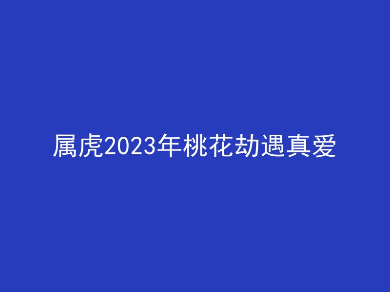 属虎2023年桃花劫遇真爱